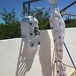 شقة Velin