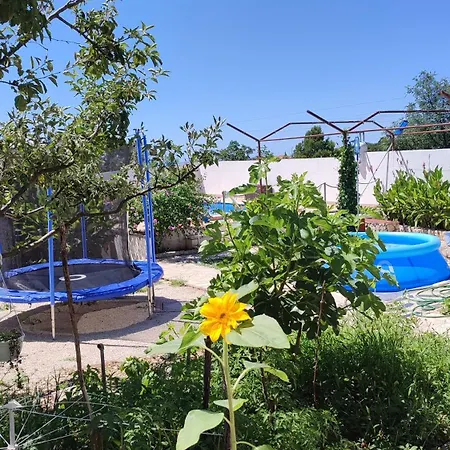 Apartments Villa Velin